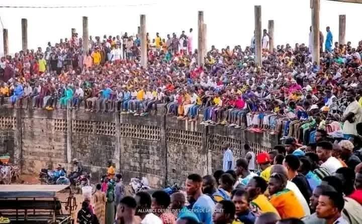 Des supporteurs lors d'un match ayant entrainé une bousculade en Guinée