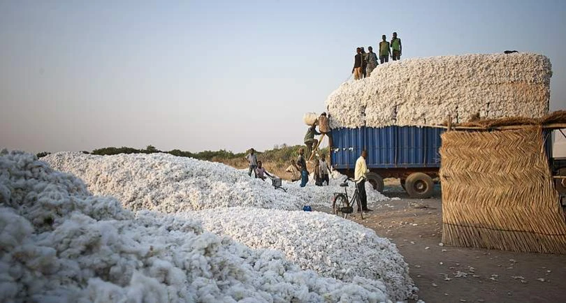 Un camion transportant des fibres de coton. Image d'illustration